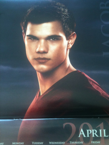  'The Twilight Saga : Breaking Dawn Part 1' 2012 Calendar