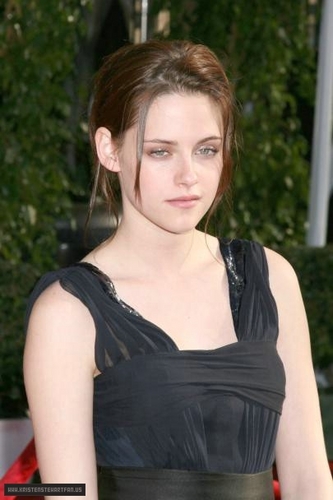  2008: 14th Annual Screen Actors Guild Awards.