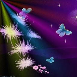 Butterfly Dreams For You Princess <3