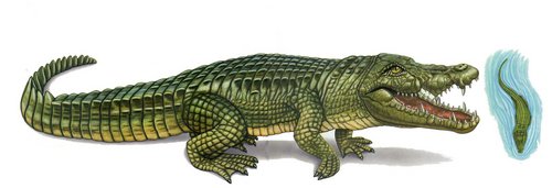  Deinosuchus