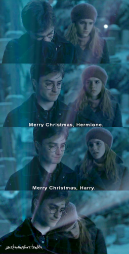  Harry & Hermione- DH part 1