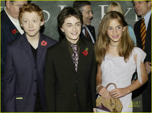 Harry, Hermione & Ron: A Look Back & Beyond