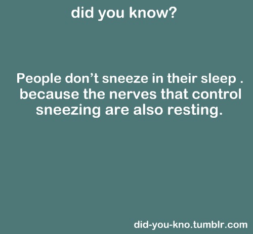  Sneezing while Sleeping