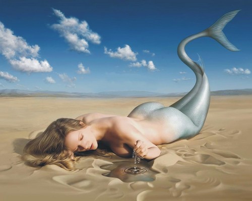 mermaid in the desert