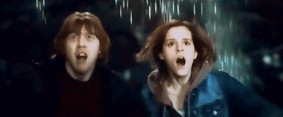  romione in the water