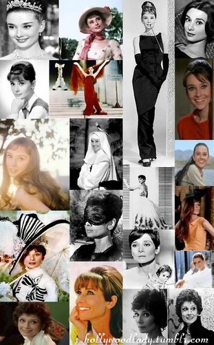  Audrey Hepburn in Hollywood