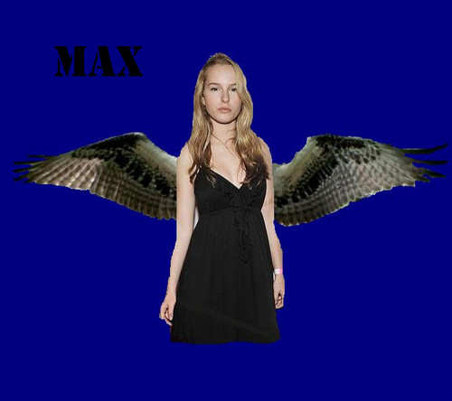  Bridget Mendler as Max