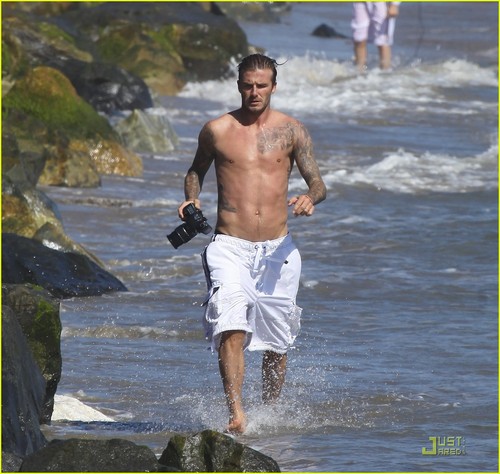  David Beckham: Shirtless Surfing!
