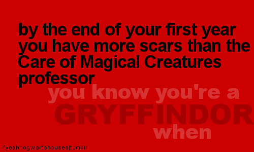  پرستار Art - Gryffindor