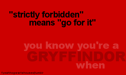  fã Art - Gryffindor