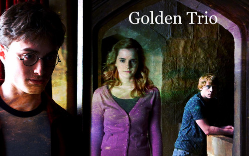  Harry Potter- Golden Trio