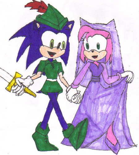  Robin Sonic And Princess Rose