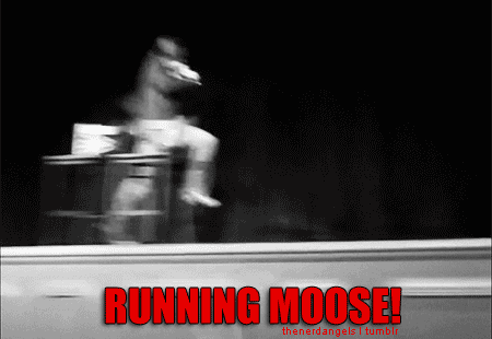  Running Moose