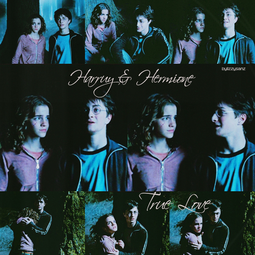  harry & hermione
