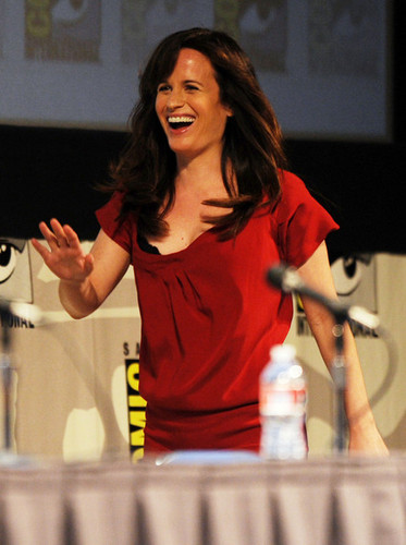  "The Twilight Saga: Breaking Dawn Part 1" Panel - Comic Con 2011