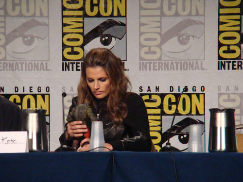  Comic-Con 2011 the Бэтмен Arkham City