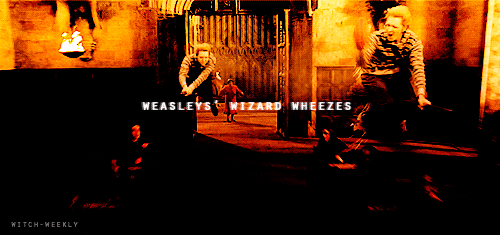  Fred and George Weasley
