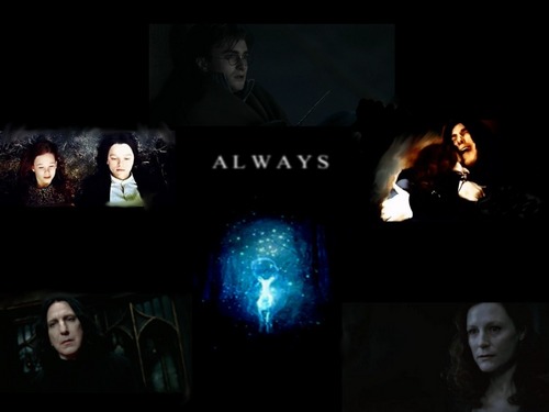  Snape - Lily - Harry Always ♥