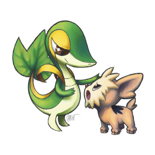  Snivy and Lillipup