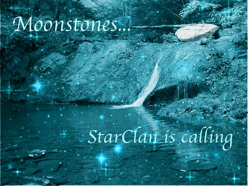  Starstone