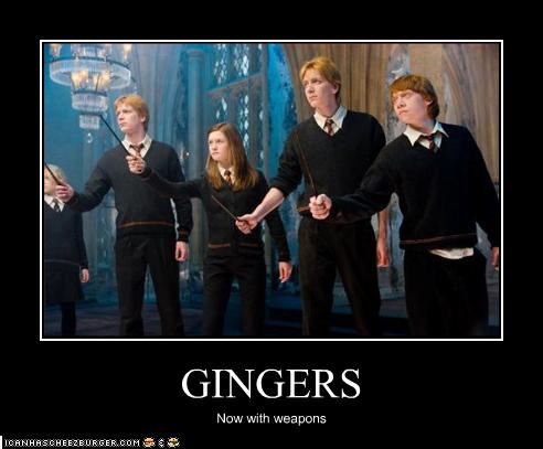 gingers