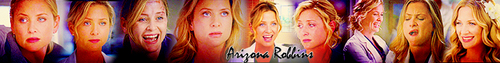  Arizona Robbins [Banner]