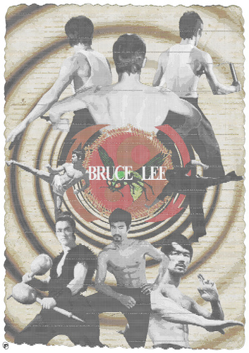 Bruce Lee audio visual poster