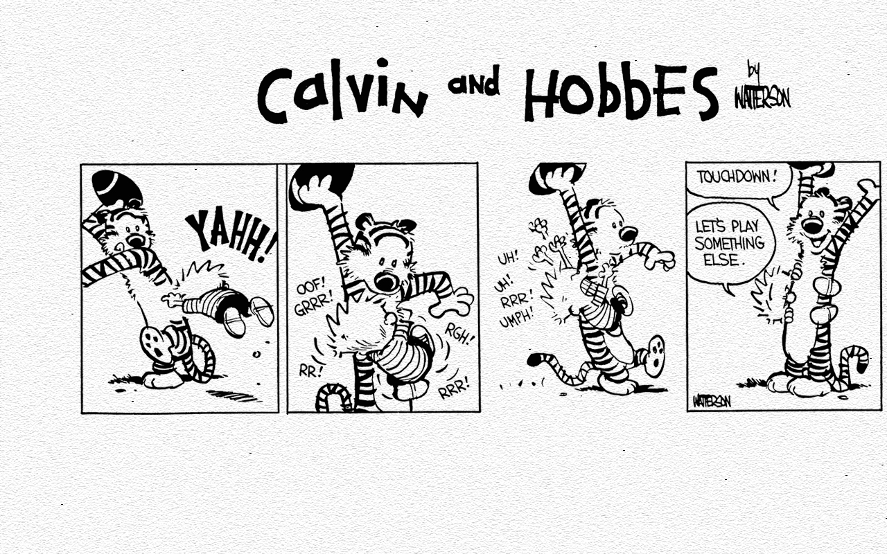 Calvin And Hobbes Random Photo 24017241 Fanpop