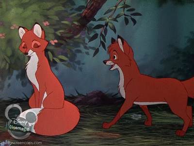 Fox and the Hound GIF
