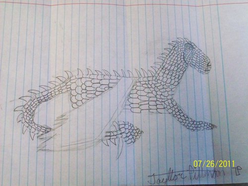  My drawing of third dragon