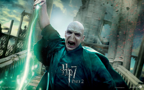  Voldemort - HP7 p2