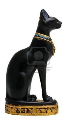 egyptian cat, chat égyptien