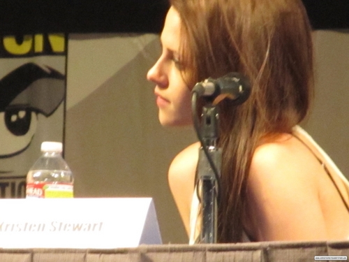 omic-Con 2011 'Snow White and the Huntsman ' Panel