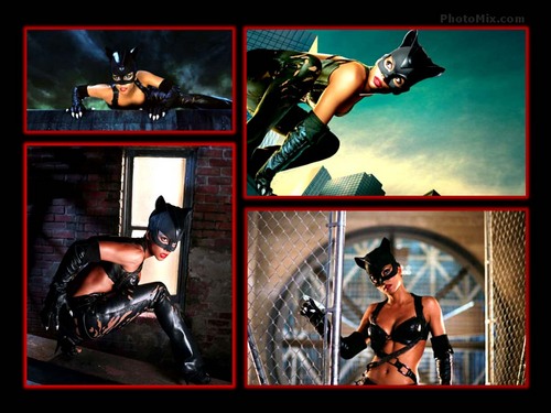  Catwoman The Movie