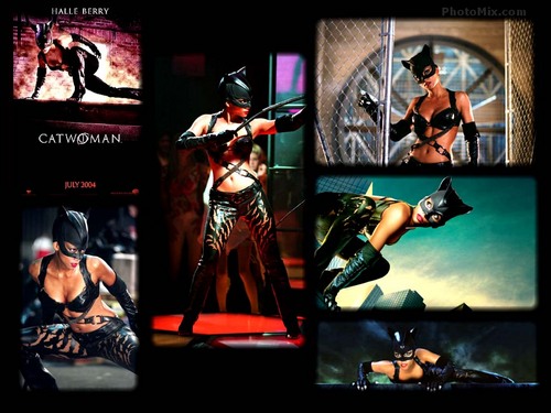  Catwoman The Movie