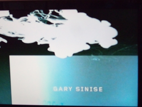  GARY SINISE
