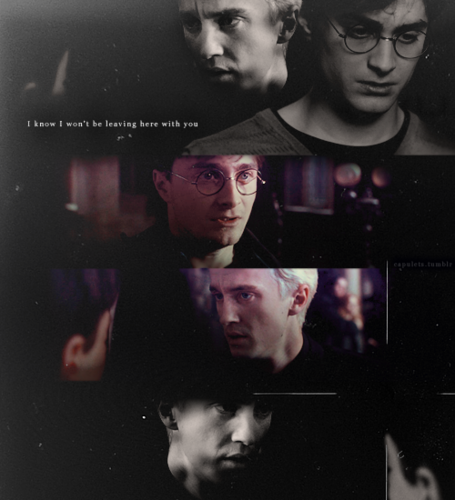  Harry/Draco
