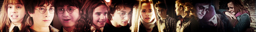  Harry&Hermione banner