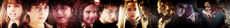 Harry&Hermione banner