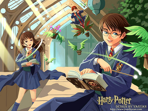  Harry Potter Group