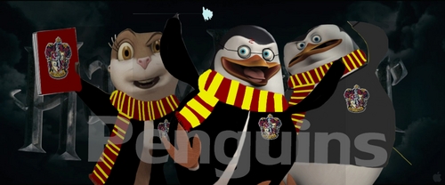  Harry Potter Penguins