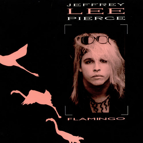  Jeffrey Lee Pierce - flamant, flamant rose