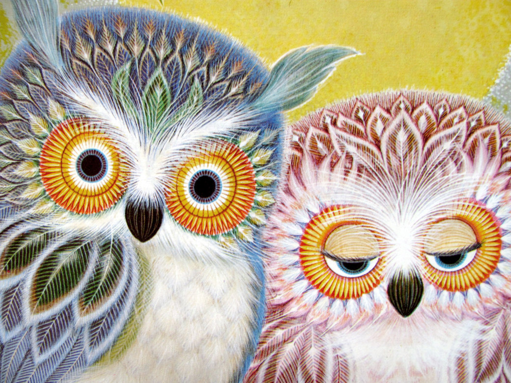 Owls by K. Chin