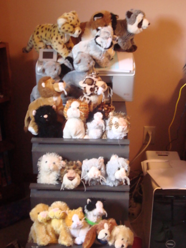  SOME of our Webkinz