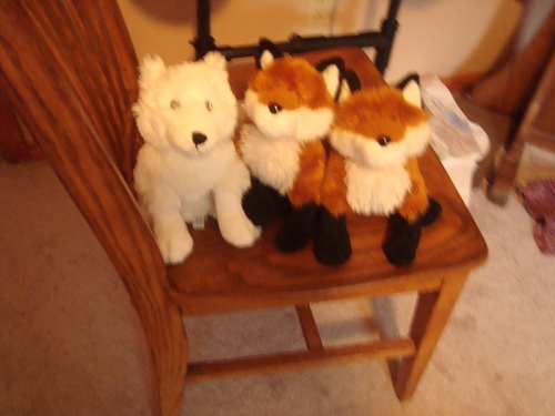  SOME of our Webkinz