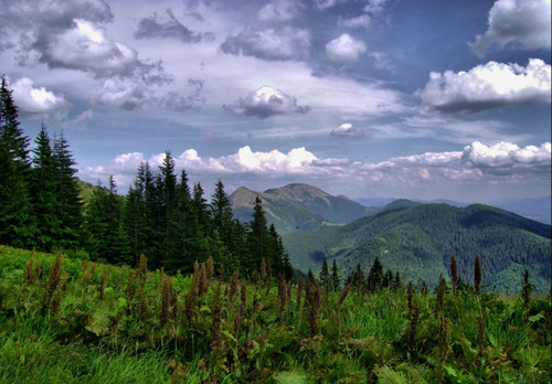  The Carpathian Mountains