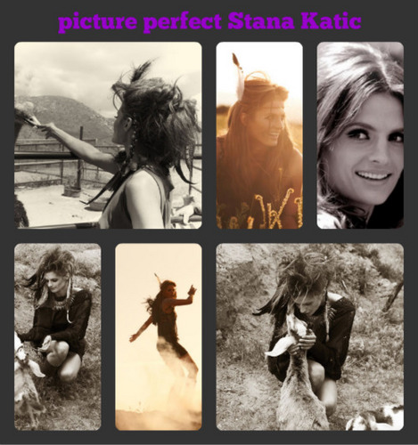 The lovely Stana Katic