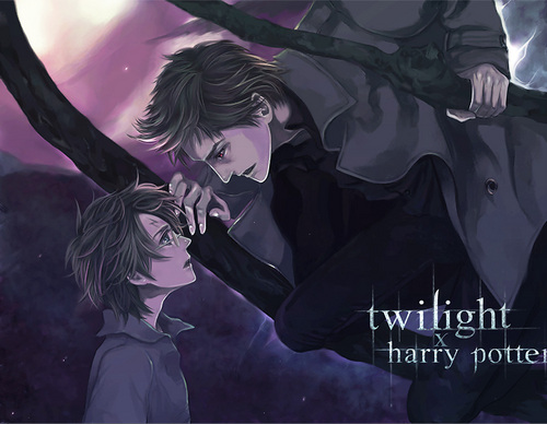 Twilight x harry potter