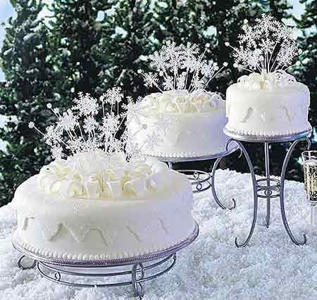  Winter Cakes
