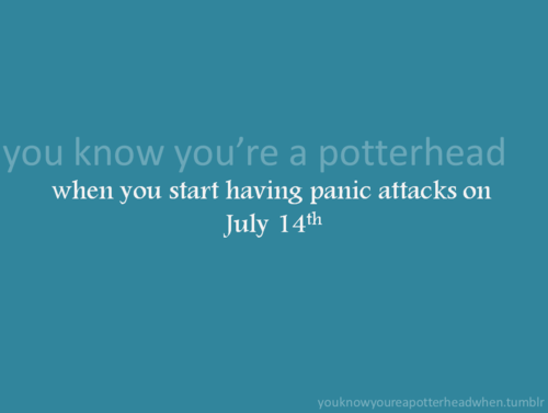  bạn Know You're a Potterhead When...